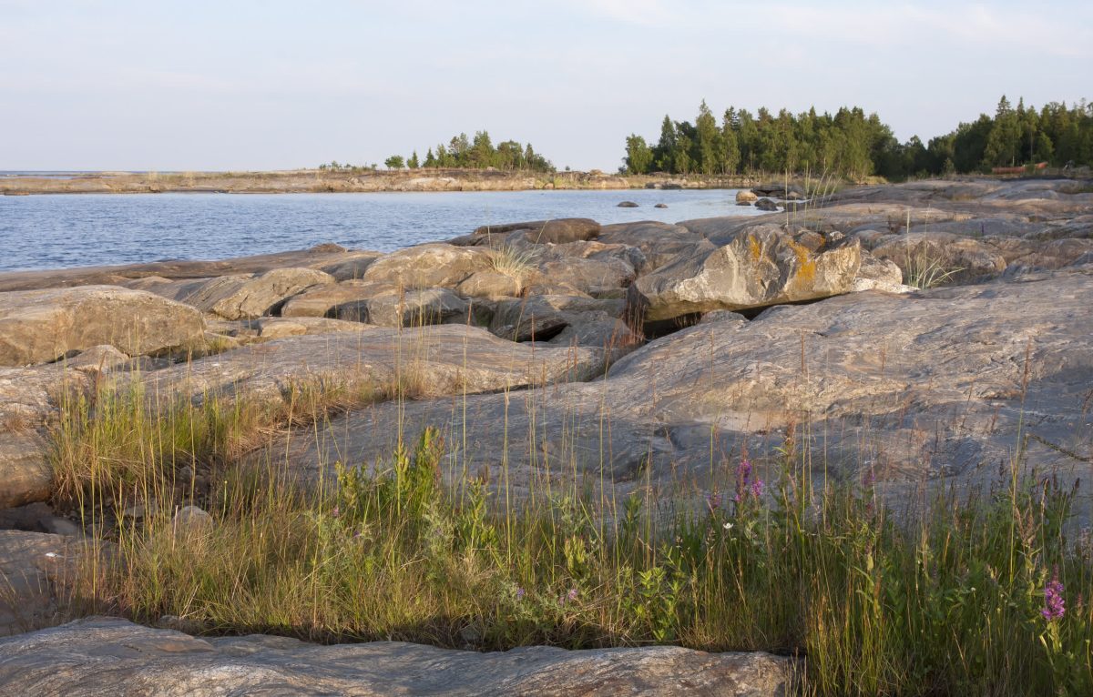 Kvanttihypnoosi