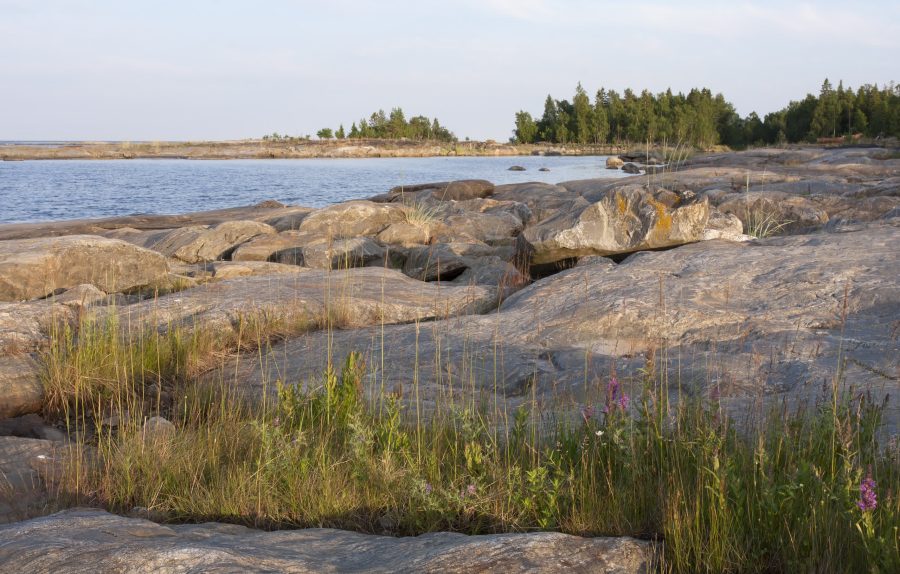 Kvanttihypnoosi – Avoin Ajatus