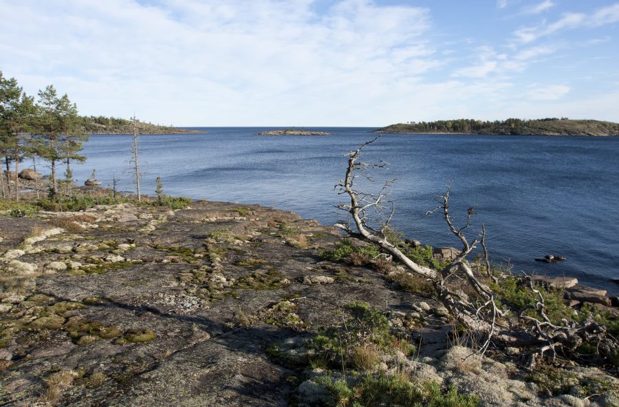 Keskustelu – Avoin Ajatus